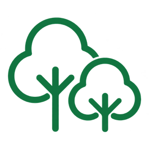 Avenue Tree Plantation