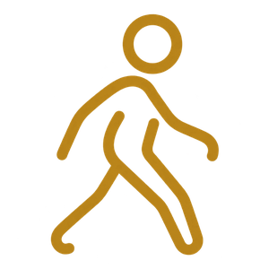 Walking & Wellness Pathways